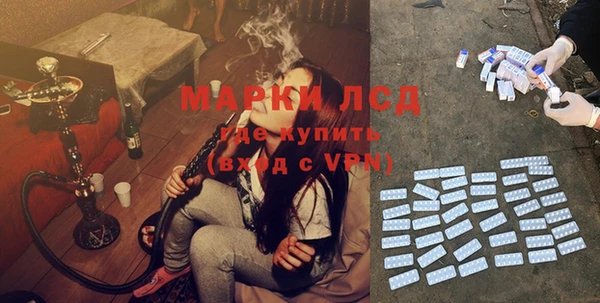 бошки Ладушкин